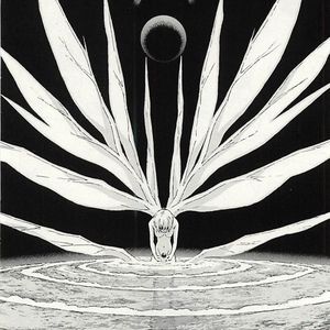 Meet your Posher, Tommy